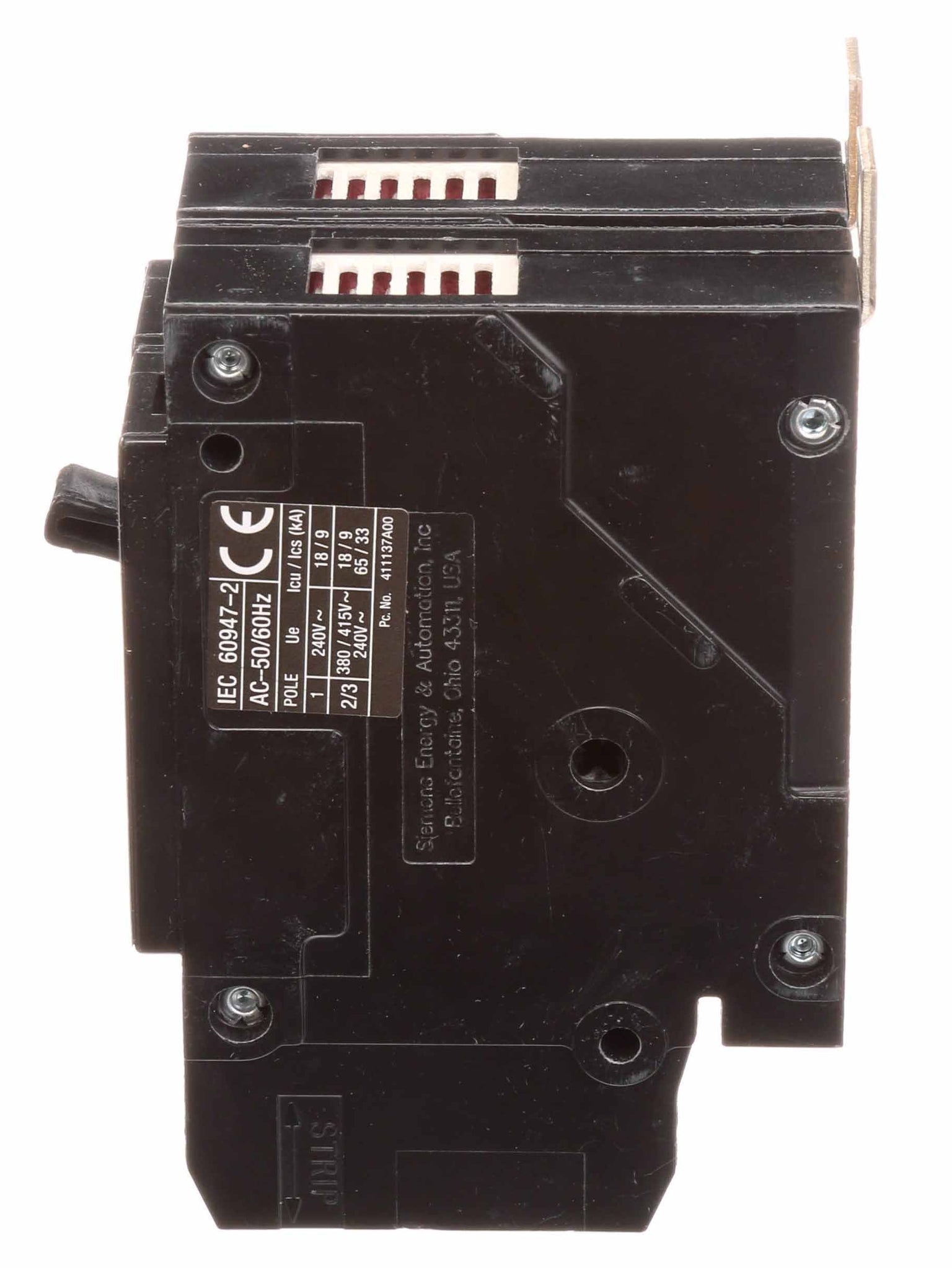 295188664.jpg