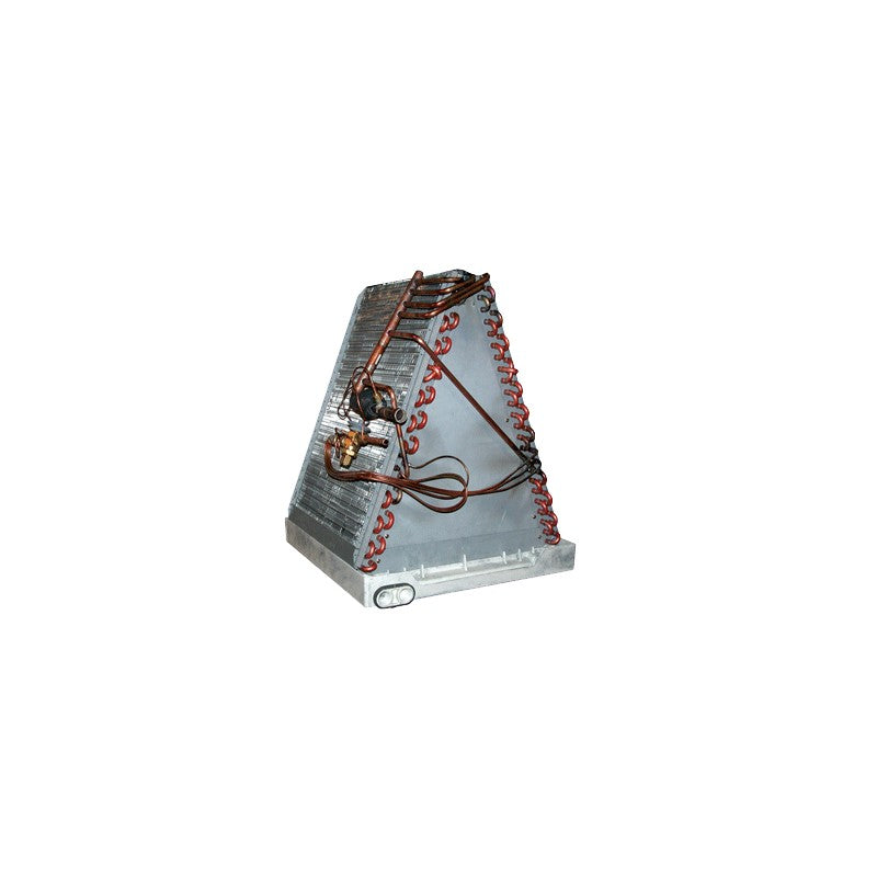 296310517.jpg