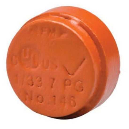 296444001.jpg