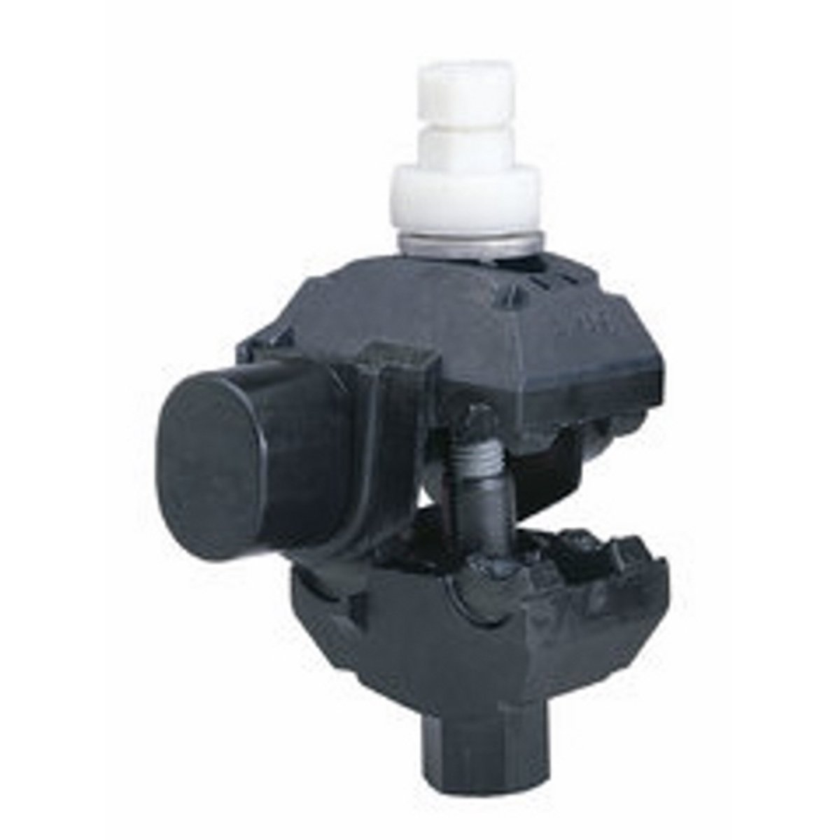 297718857.jpg