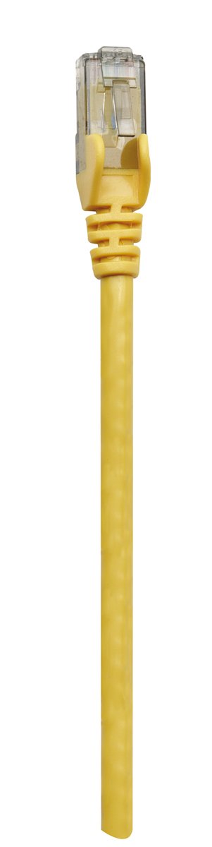 297722840.jpg