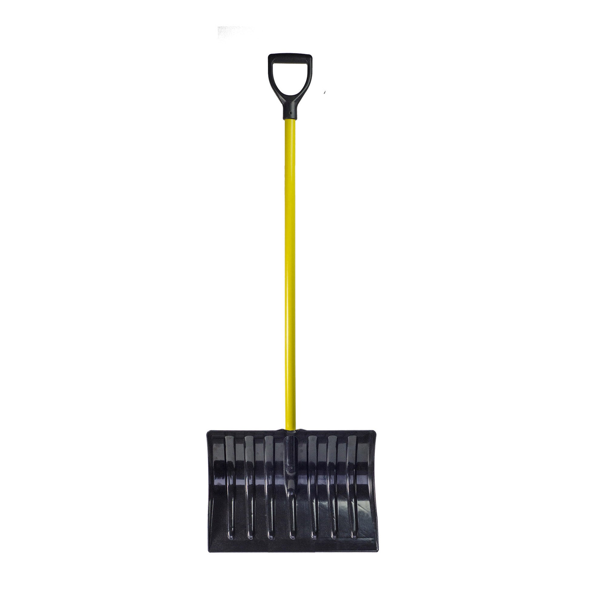 298074670.jpg