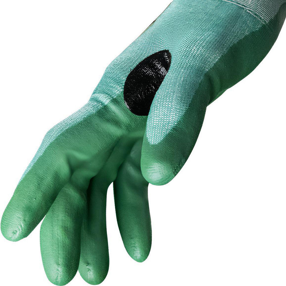 298075505.jpg