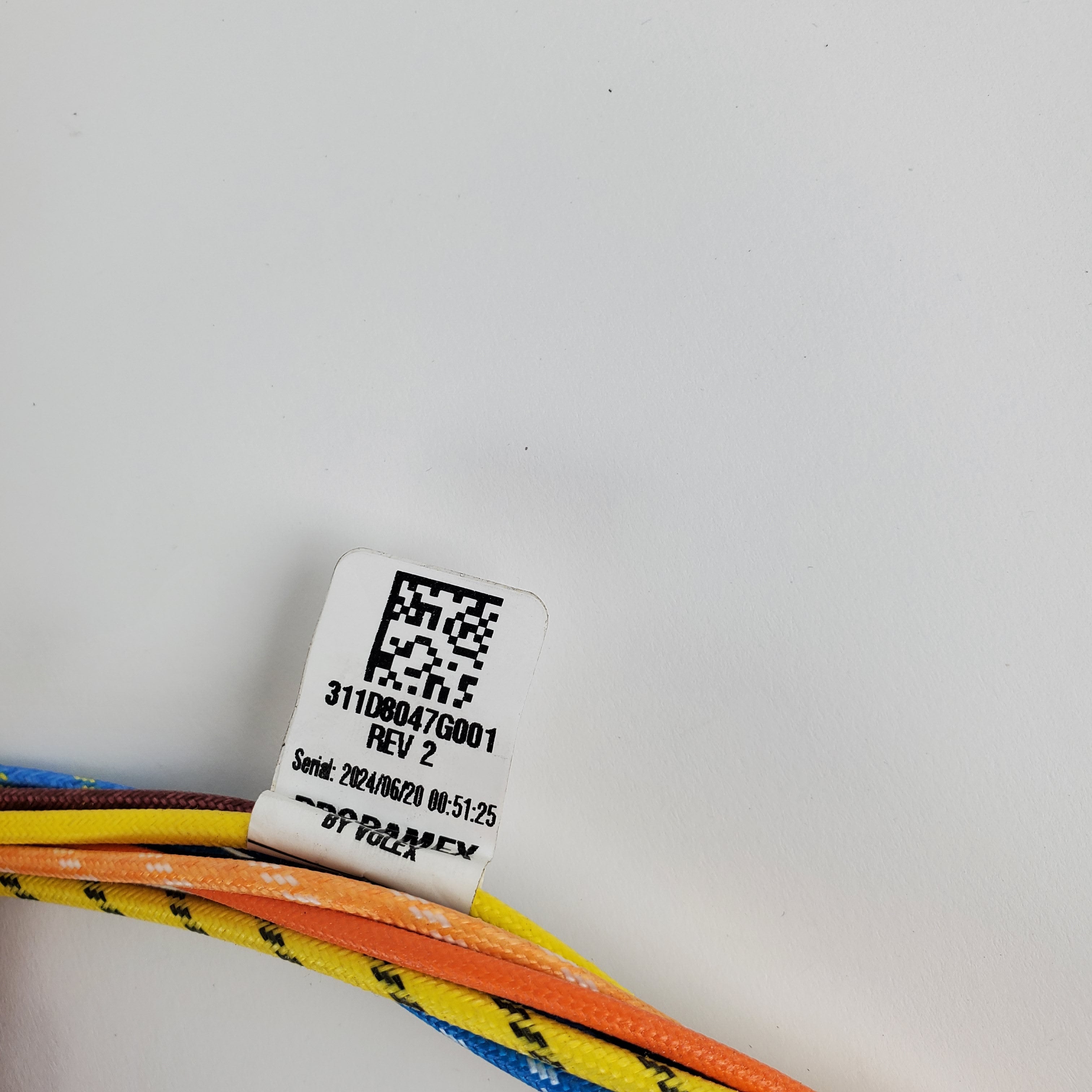 298079073.jpg