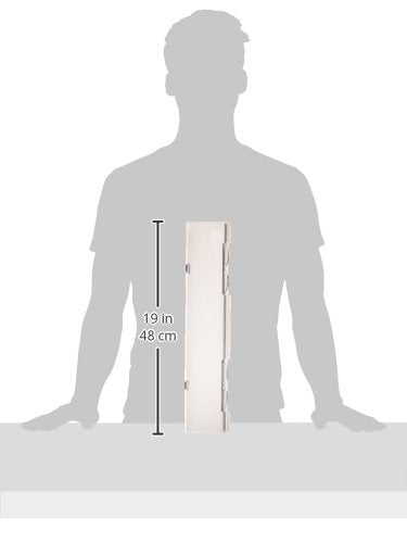 298080527.jpg
