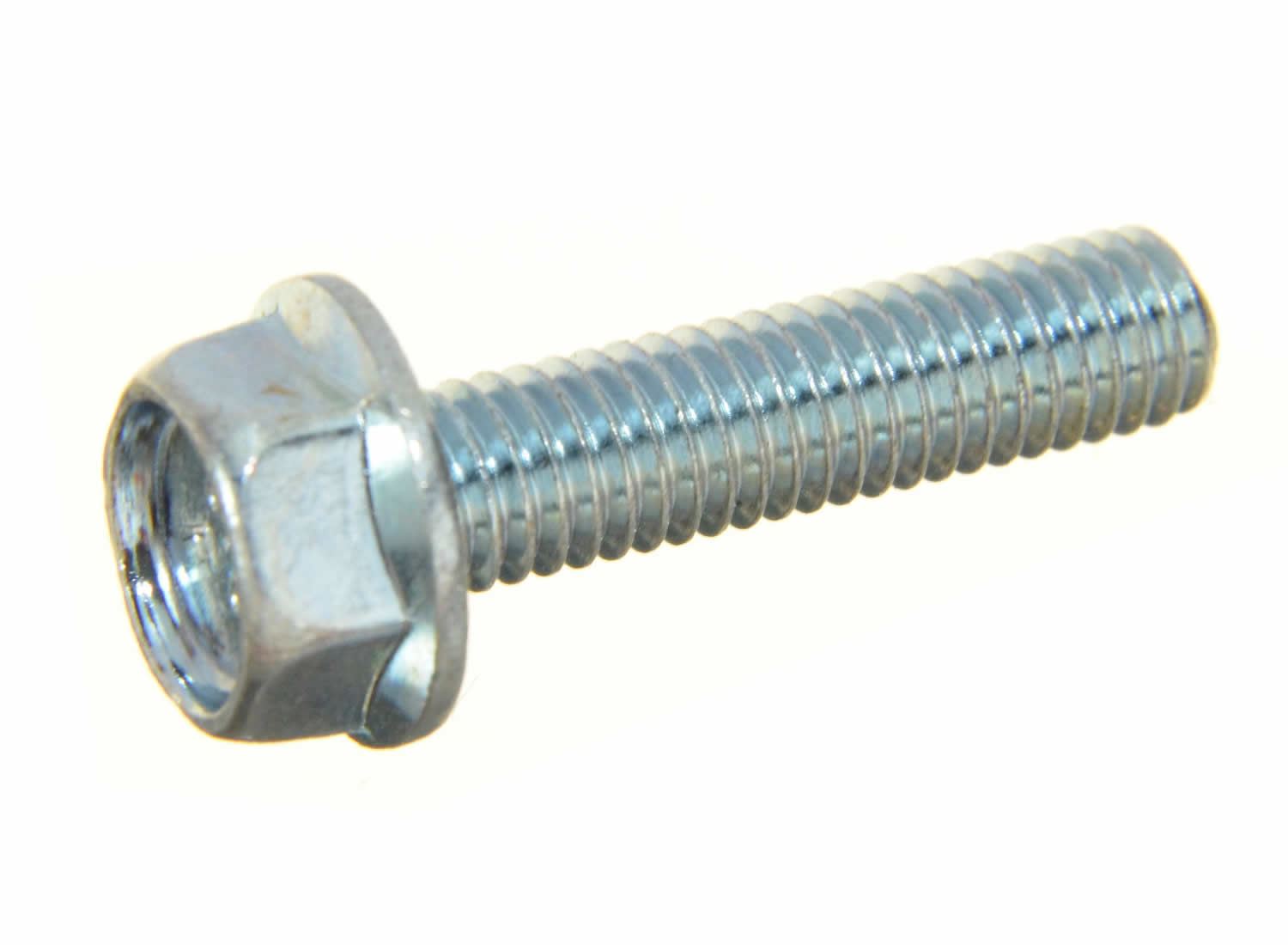 298081144.jpg