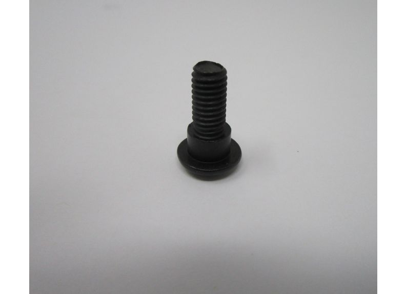298081172.jpg