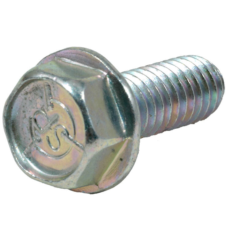 298082036.jpg