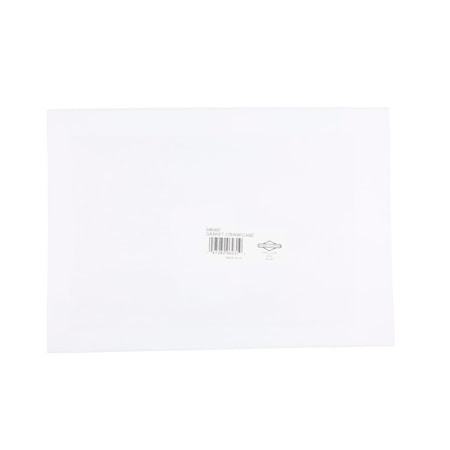 298127393.jpg
