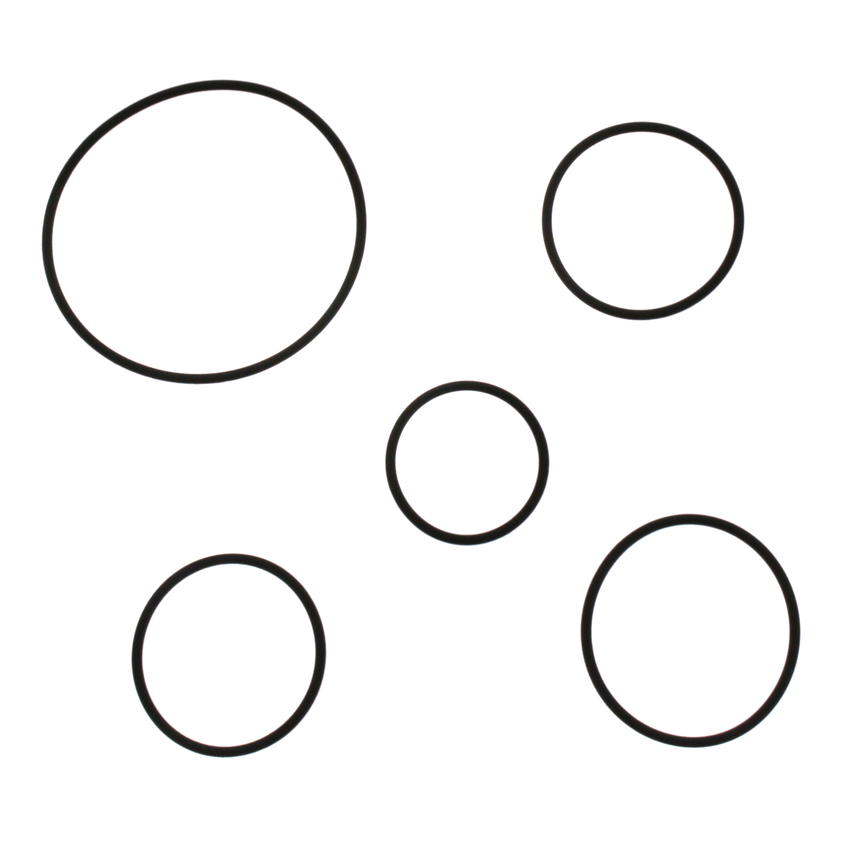 298150166.jpg