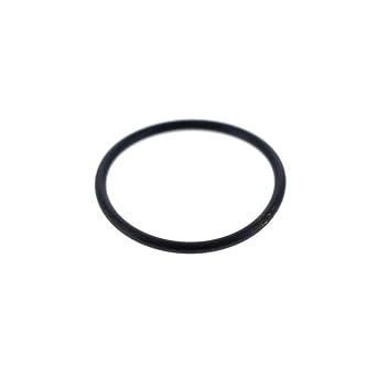 298300296.jpg