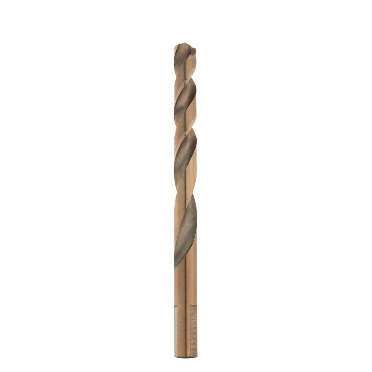 299883144.jpg