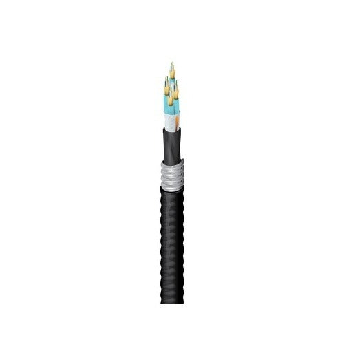 BELDEN Belden Inc. FD3D024FJ OM3 24-fiber Cable Assembly