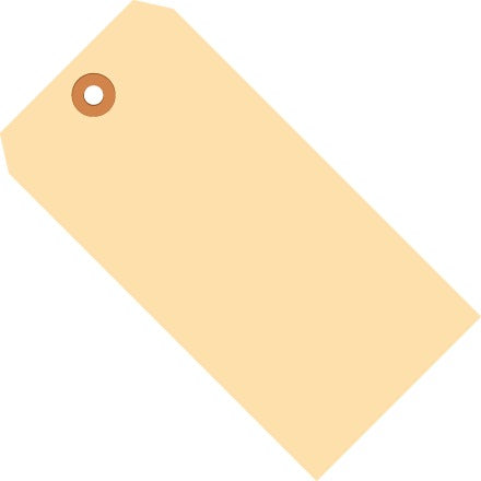 BSC PREFERRED Bsc Preferred G10101 Identification Tags 500 Per Case