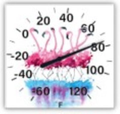 TAYLOR PRECISION PRODUCTS Taylor Precision Products 5323342 Flamingo Thermometer