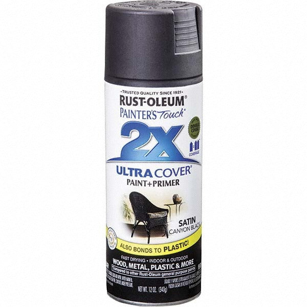 RUST-OLEUM Rust-oleum 346951 Enamel Spray Paint Canyon Black Satin