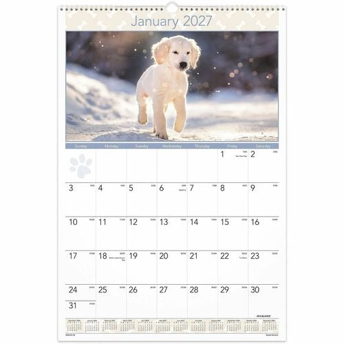 AT-A-GLANCE At-a-glance AAGDMW16728 Monthly Wall Calendar