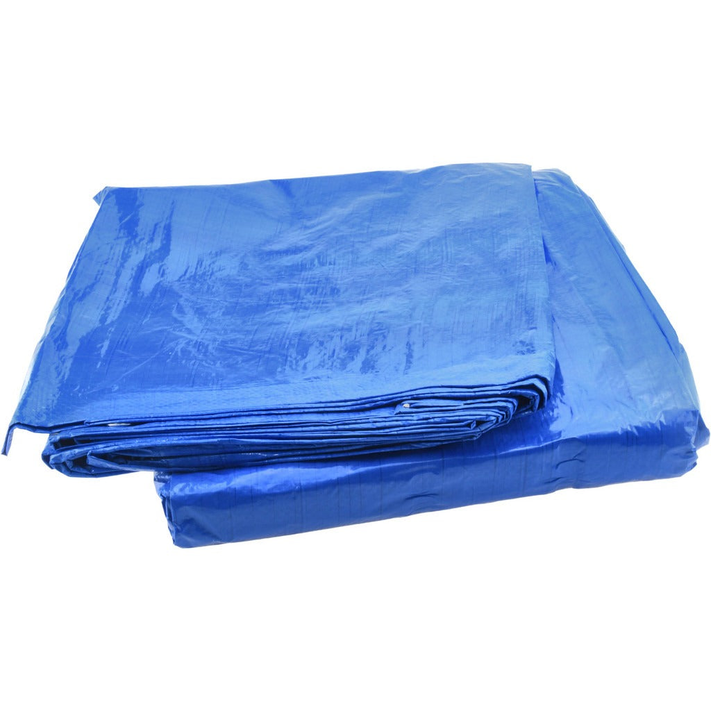 VALUE COLLECTION Value Collection KSMSCBB2030 Polyethylene Tarp 20x30 Ft