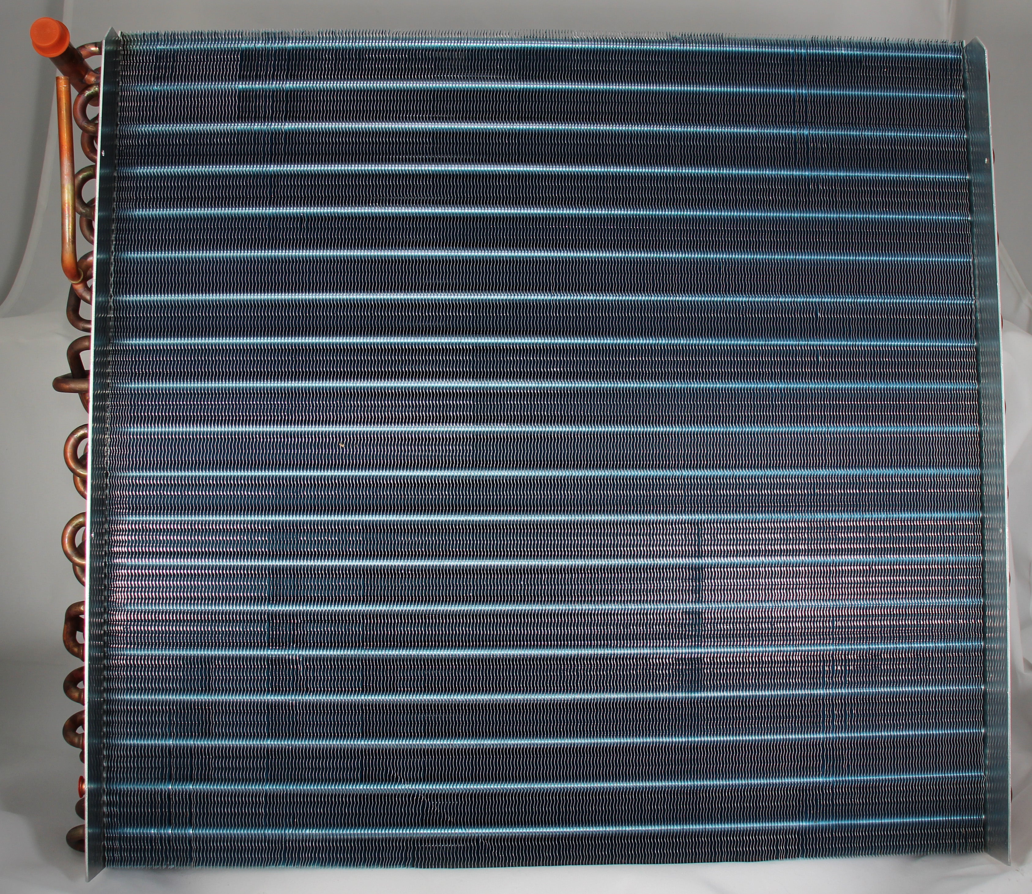 300462405.jpg