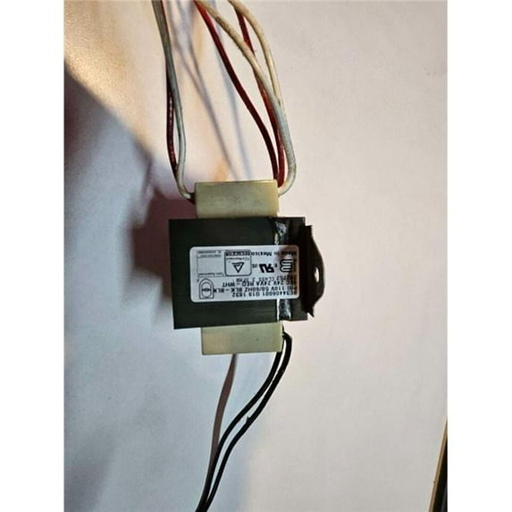 300465538.jpg