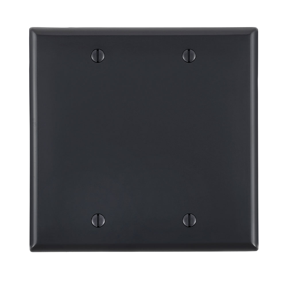 Leviton 80725-E 2-Gang 2-Blanks Box Mounted Black Standard Size Nylon Wallplate