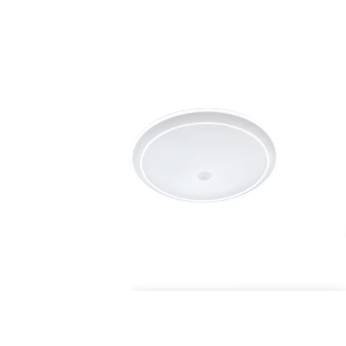 302068652.webp