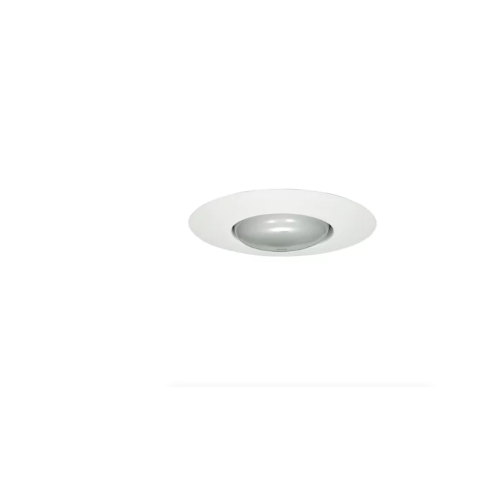 302096941.webp