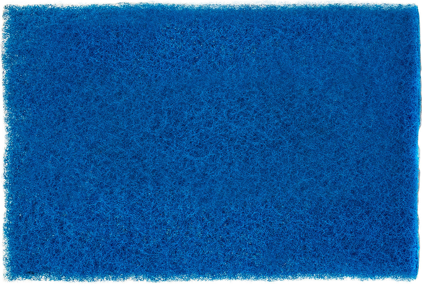 302510727.jpg