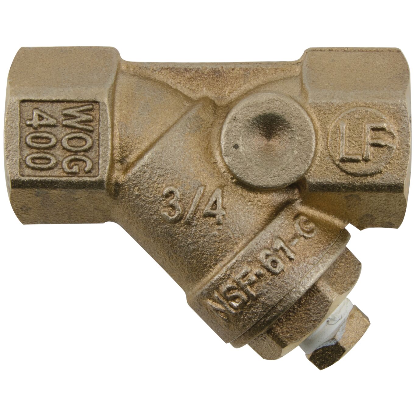 302516685.jpg