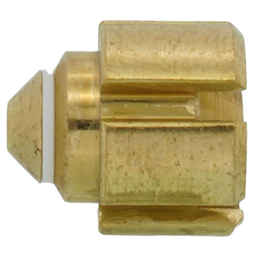302518592.jpg