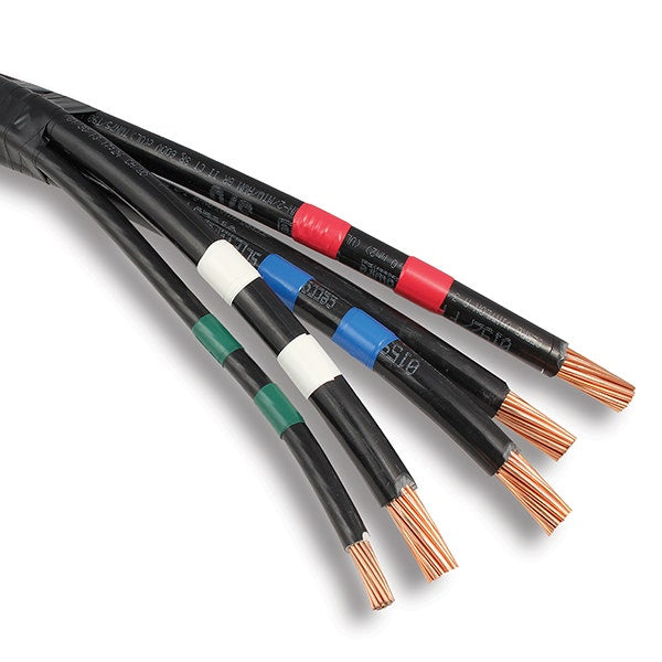 302518870.jpg