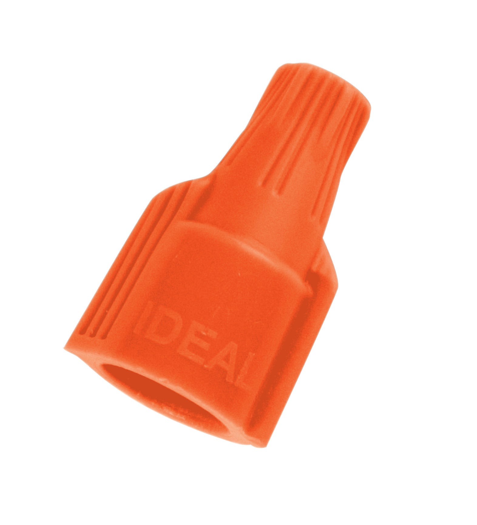 302518966.jpg