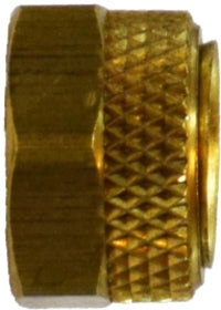 302604900.jpg