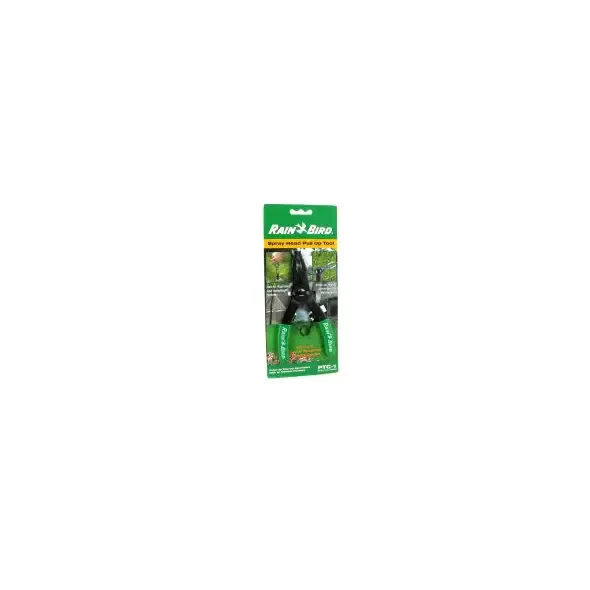 302928256.webp