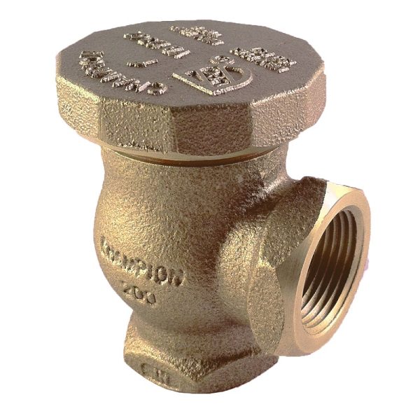 304877914.jpg