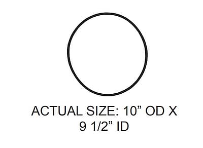 304881689.jpg