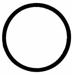 304882477.jpg