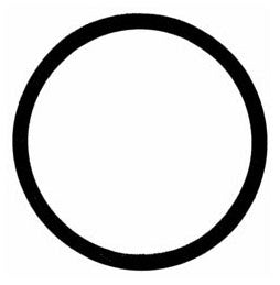 304882484.jpg
