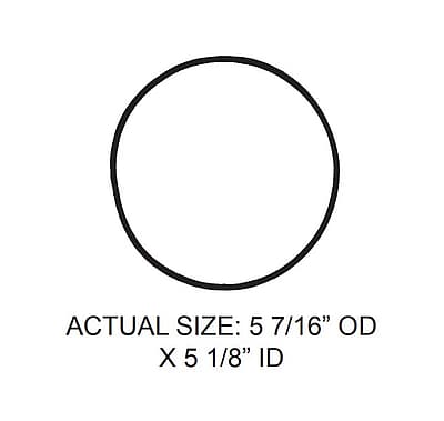 304882510.jpg