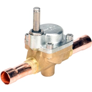 304886205.jpg