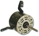 304886271.jpg