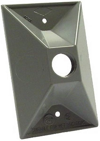 305520841.jpg