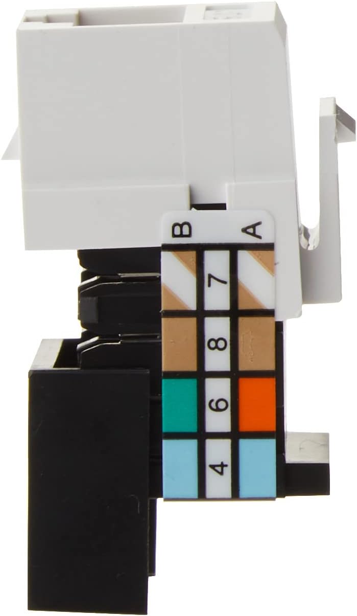 305523025.jpg