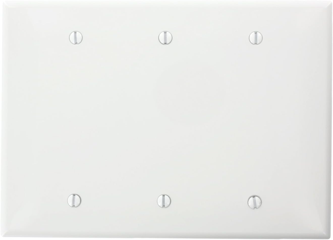 305523769.jpg