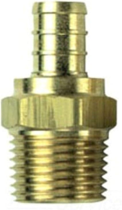 305524281.jpg
