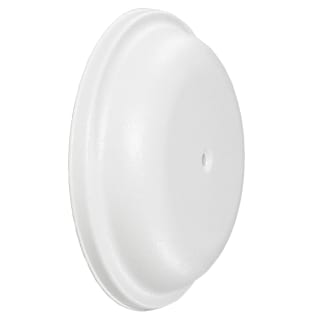 305524562.jpg