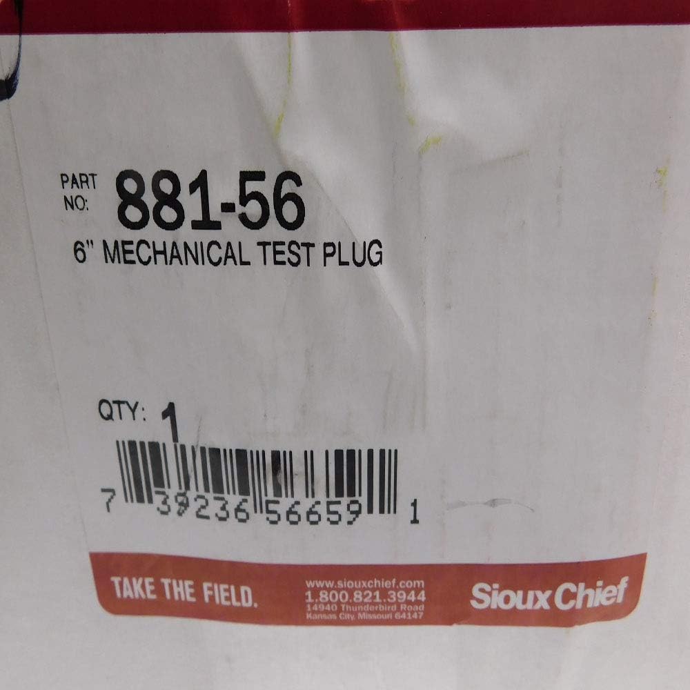 305524648.jpg