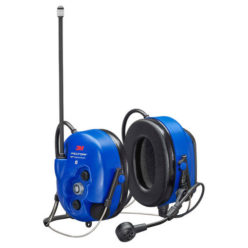 305524921.jpg