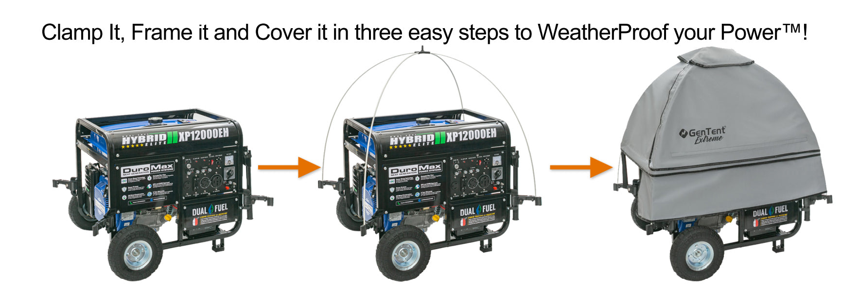 305526123.jpg