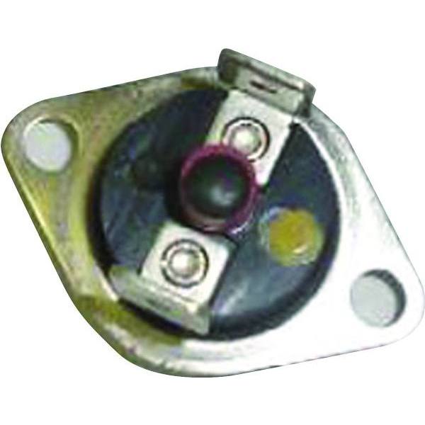 305526312.jpg